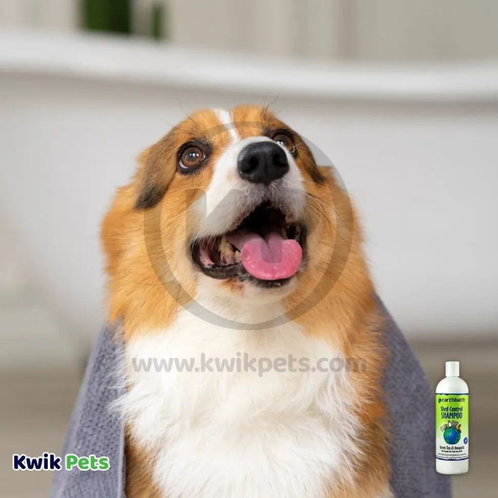Earthbath Shed Control Pet Conditioner Green Tea & Awapuhi 16-oz