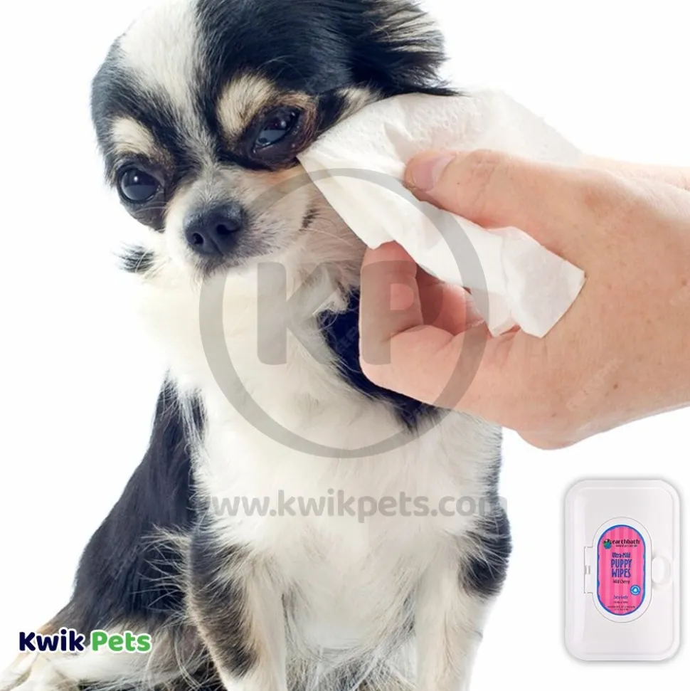 Earthbath Ultra-Mild Puppy Wipes Wild Cherry 100 Count