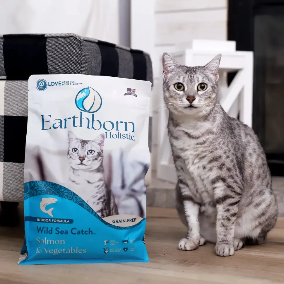Earthborn Holistic Wild Sea Catch Grain-Free Indoor Formula Dry Cat Food Salmon & Vegetables 4-lb
