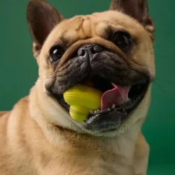 Earth Rated Natural Rubber Dog Fetch Toy Yellow Medium