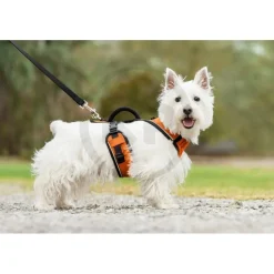 EasySport Comfortable Dog Harness Orange Small