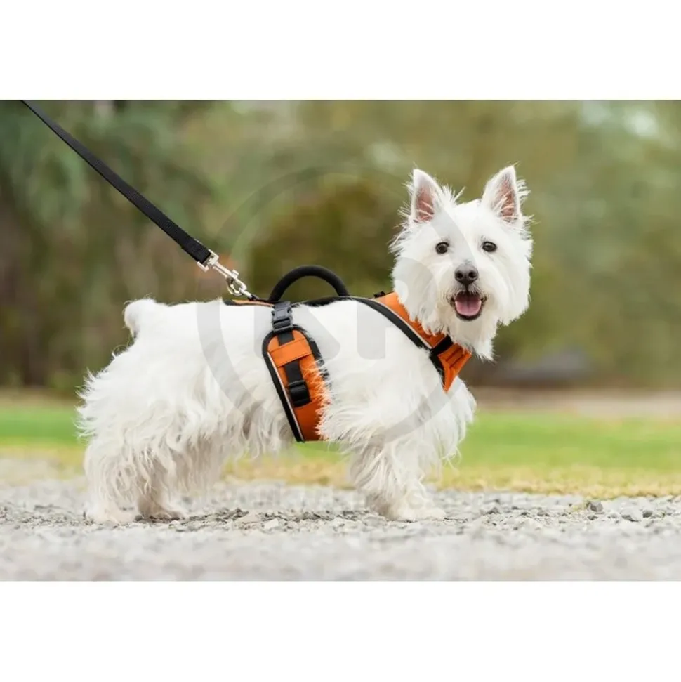 EasySport Comfortable Dog Harness Orange Small
