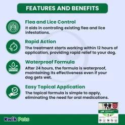 Elanco Advantage II 6-Month Supply Topical Flea Treatment & Prevention for Large Dogs 21-55 lbs