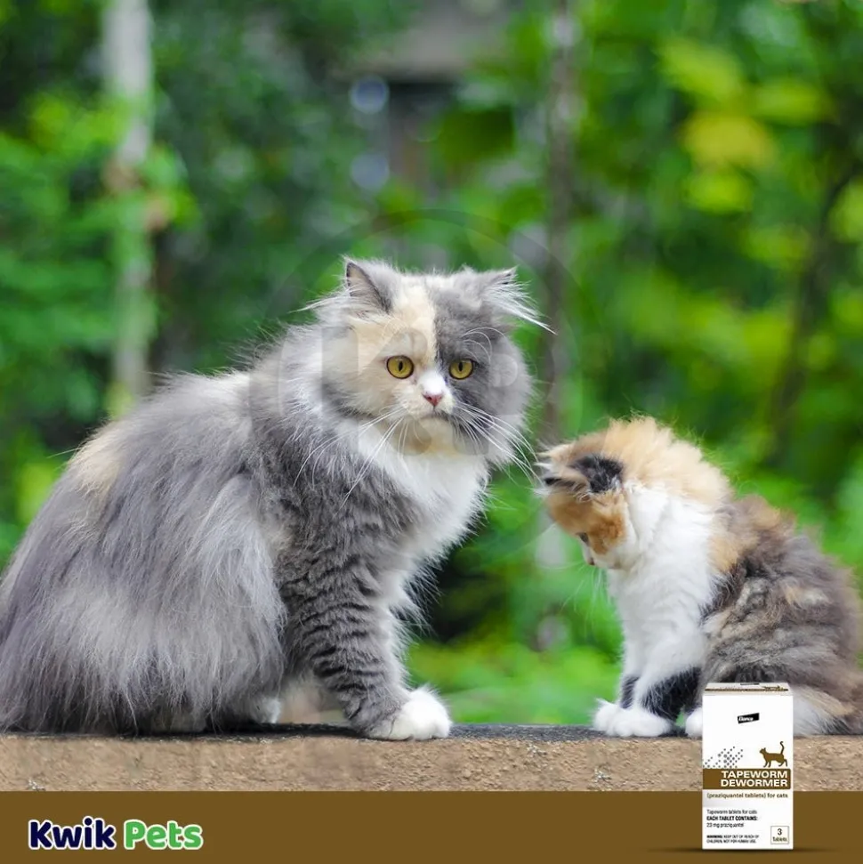 Elanco Tapeworm Dewormer (praziquantel tablets) for Cats & Kittens 3 Count
