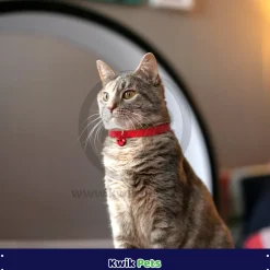 Elasta Cat Reflective Safety Stretch Collar with Reflective Charm Red 3/8 In X 10 in