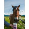 Equiderma Zinc Oxide Paste for Horses 16-oz