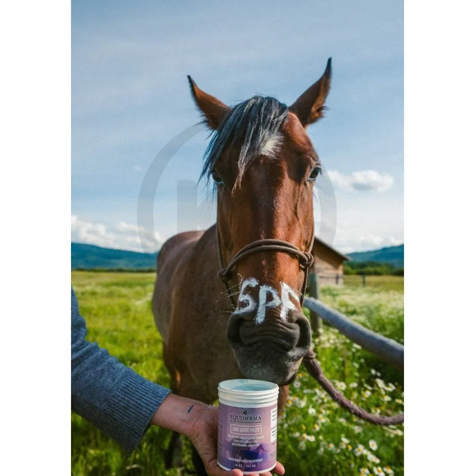 Equiderma Zinc Oxide Paste for Horses 16-oz
