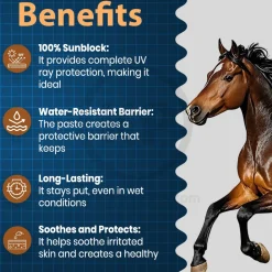 Equiderma Zinc Oxide Paste for Horses 16-oz