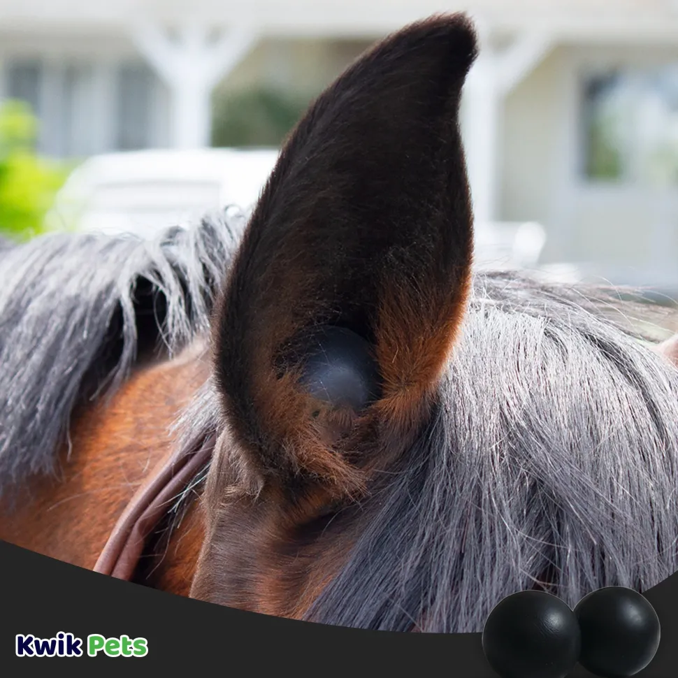 Equine Healthcare International Pony Smooth Style Pomms Horse Ear Plugs Black 4 Count