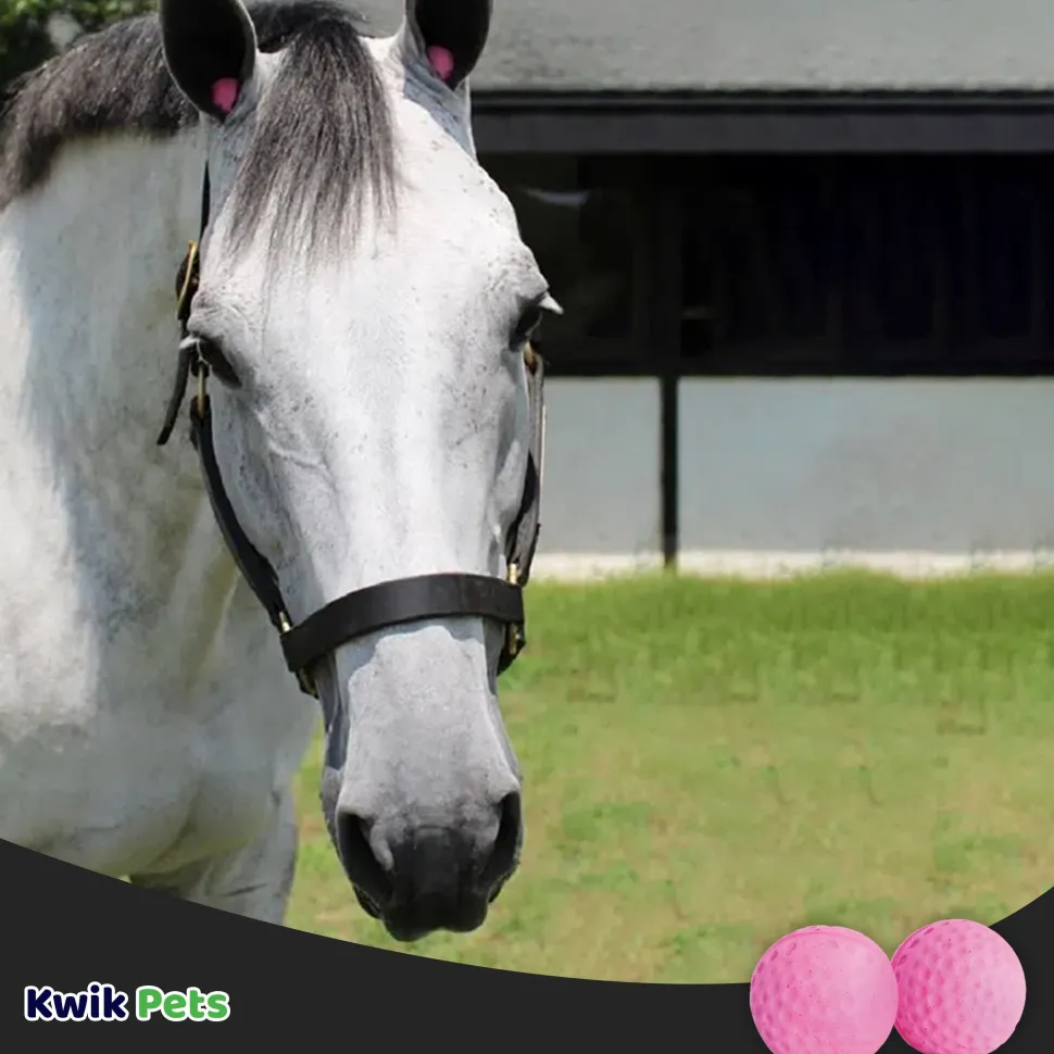 Equine Healthcare International Pony Pomms Horse Ear Plugs Pink 2 Count