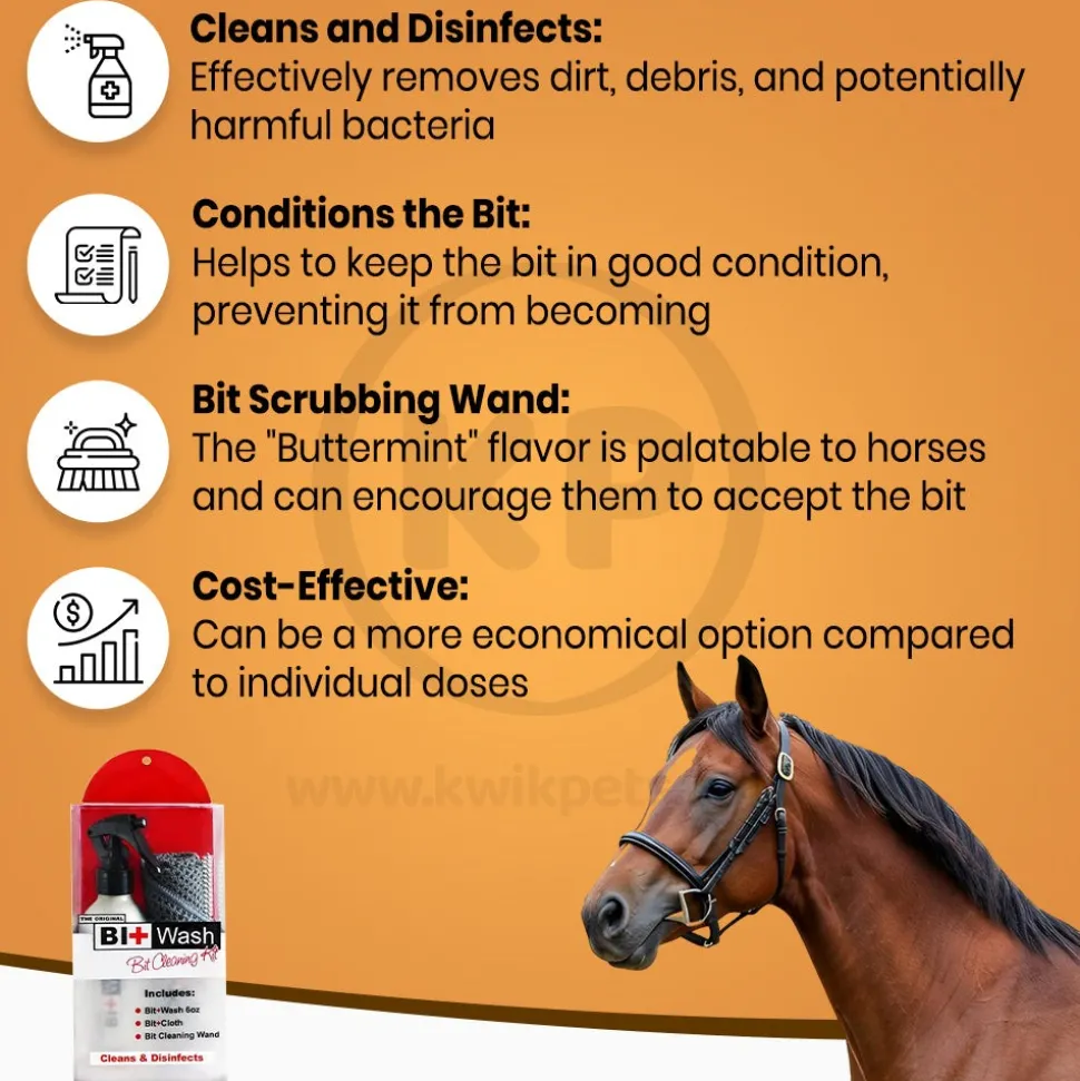 Equine Healthcare International The Original Bit + Wash Kit 6-oz