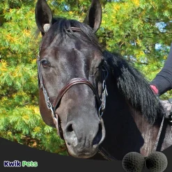 Equine Healthcare International Pomms Horse Ear Plugs Black 2 Count