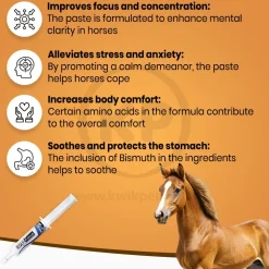 Equine Healthcare International Equi + Focus Paste
