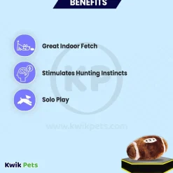 Ethical Pet Plush Dog Toy Football 4.5-in