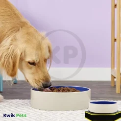 Ethical Pet Standard Crock Dog Bowl Blue 9.5-in
