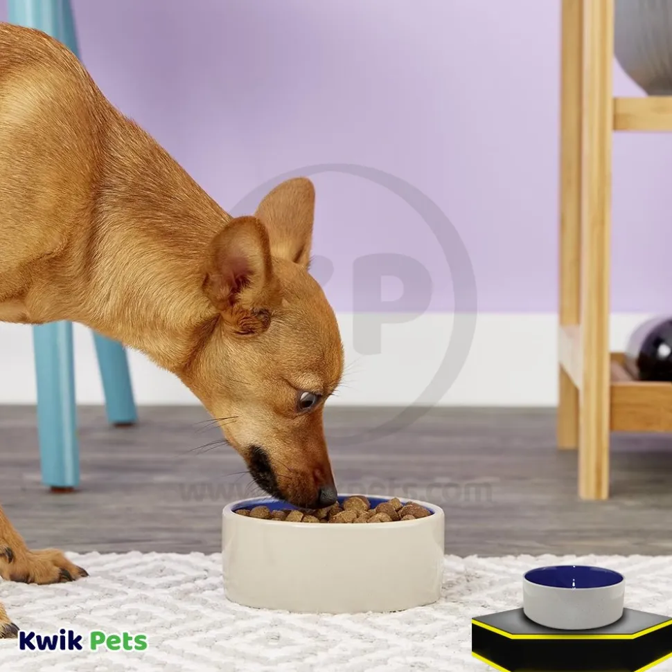 Ethical Pet Standard Crock Dog Bowl Blue 7.5-in