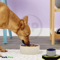 Ethical Pet Standard Crock Dog Bowl Blue 3.75-in