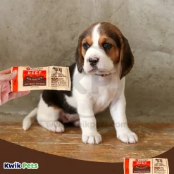 Etta Says! Beef Deli Sausages Meat Dog Treat 1.25-oz