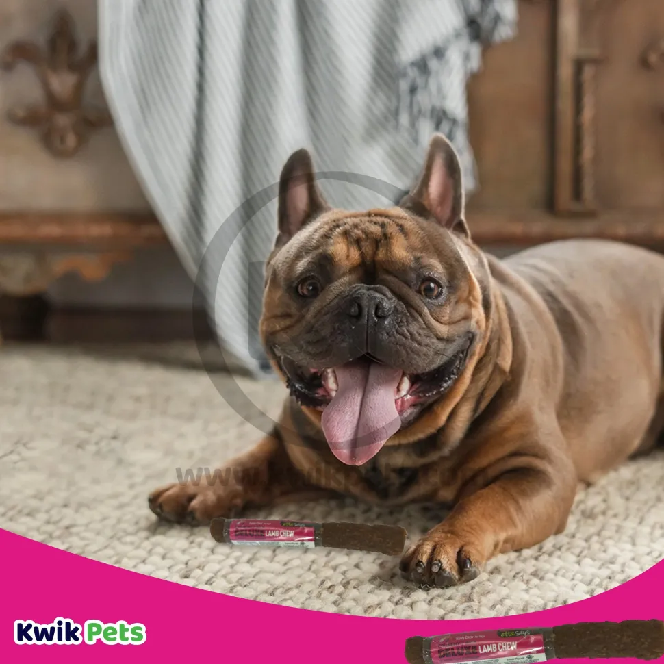 Etta Says! Deluxe Lamb Chews Dog Treat 7-in