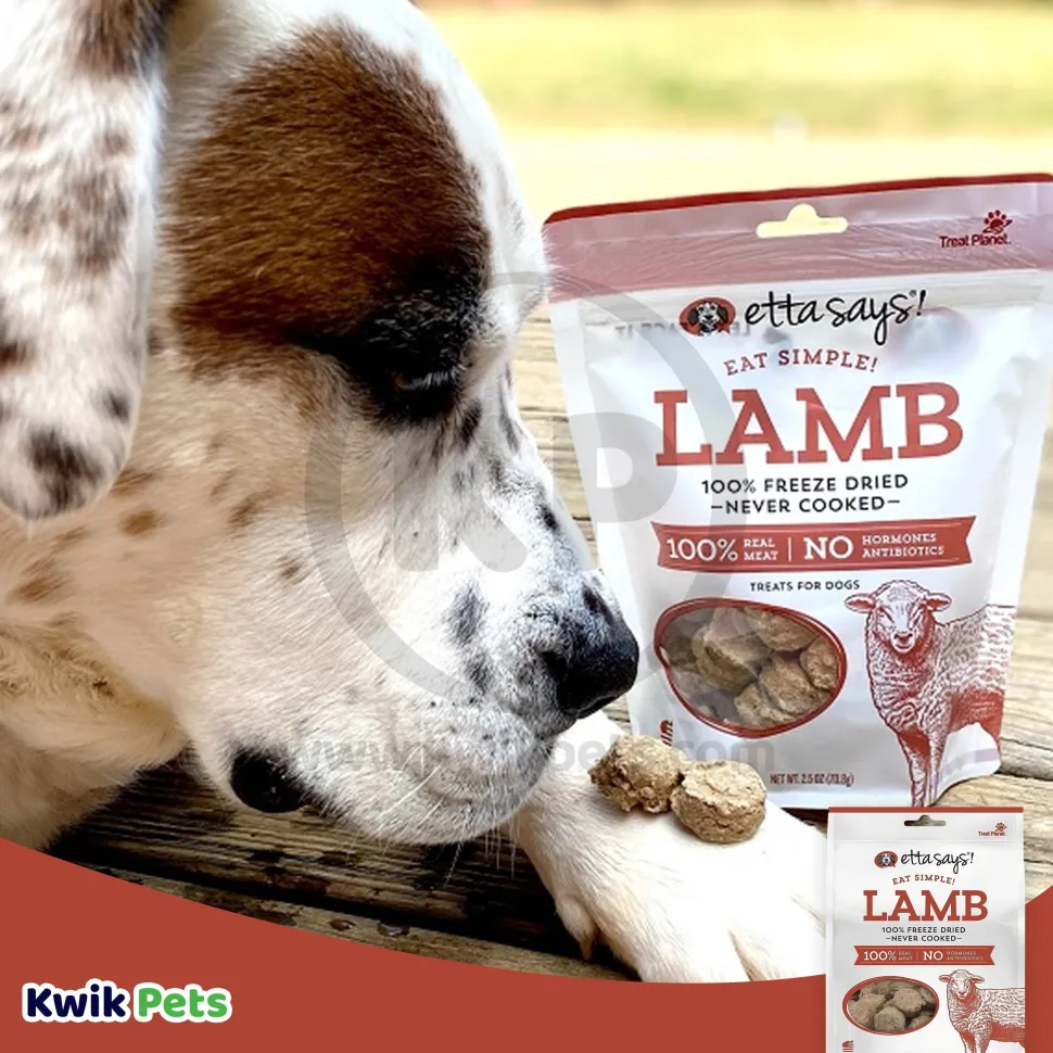 Etta Says! Eat Simple 100% Freeze Dried Never Cooked Lamb Dog Treats 2.5-oz