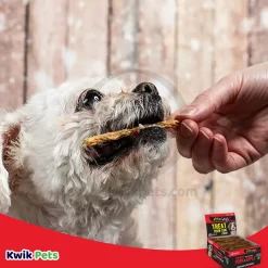 Etta Says! Premium Crunchy Bars Pork & Apple Dog Treats 12 Count