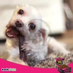 Etta Says! Premium Crunchy Bars Chicken & Chia Dog Treats 12 Count