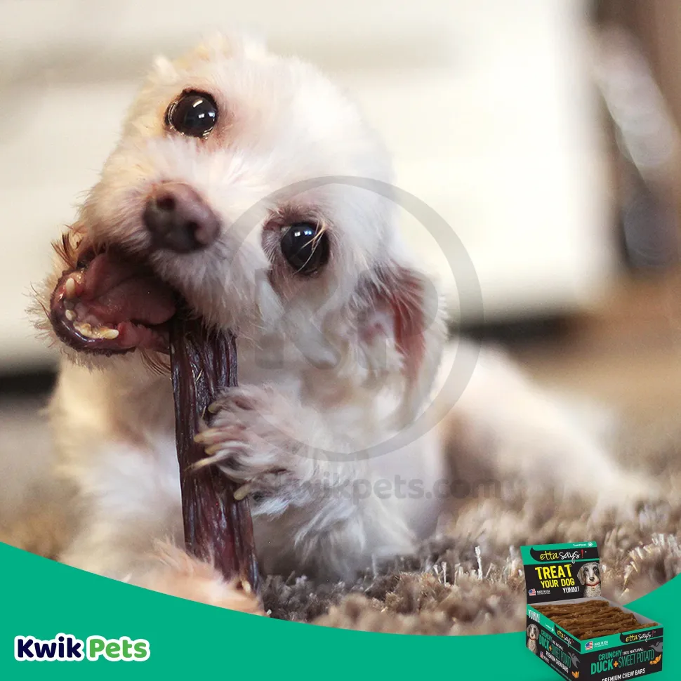 Etta Says! Premium Crunchy Bars Duck & Sweet Potato Dog Treats 12 Count