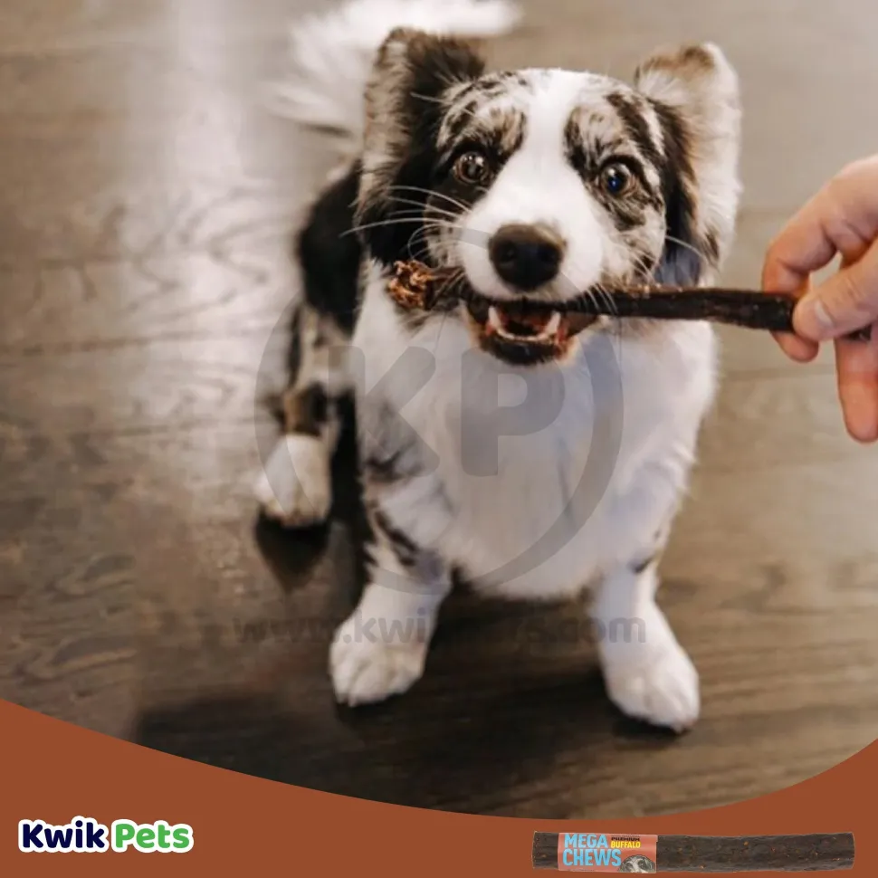 Etta Says! Premium Crunchy Buffalo Chews Dog Treat 7 -in