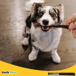 Etta Says! Premium Crunchy Duck Chews Dog Treat 7-in
