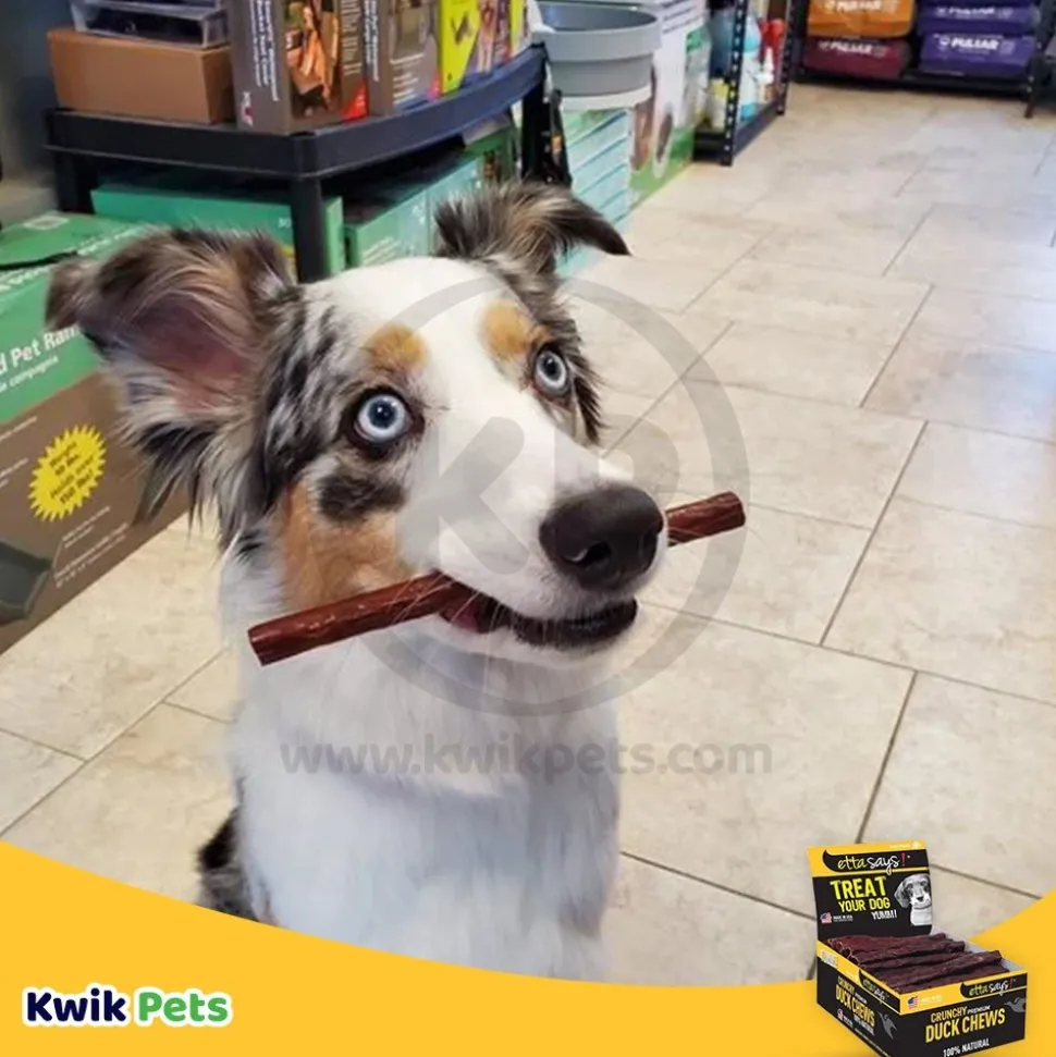 Etta Says! Premium Crunchy Duck Chews Dog Treat 4-in 36 Count