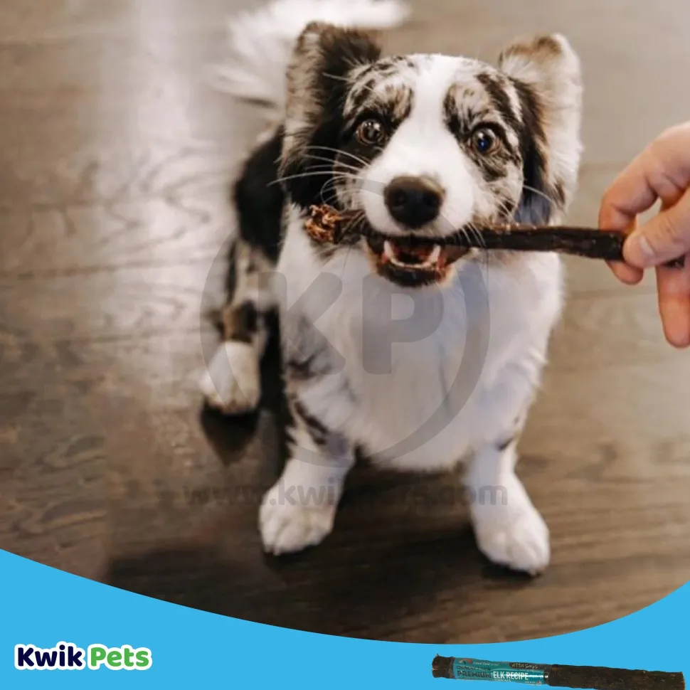 Etta Says! Premium Crunchy Rabbit Chews Dog Treat 7-in