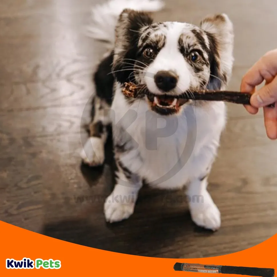 Etta Says! Premium Crunchy Turkey Chews Dog Treat 7-in
