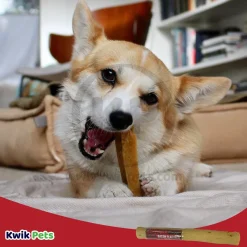 Etta Says! Select Crunchy Bacon Chews Dog Treat 7-in