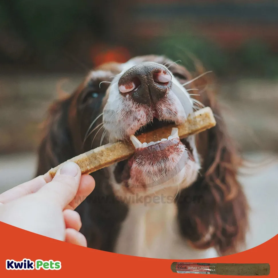 Etta Says! Select Crunchy Sausage Chews Dog Treat 7-in