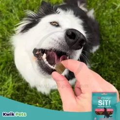 Etta Says! Sit! Dog Training Treats Bacon Recipe 6-oz