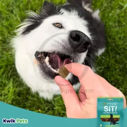 Etta Says! Sit! Dog Training Treats Cheese Recipe 6-oz
