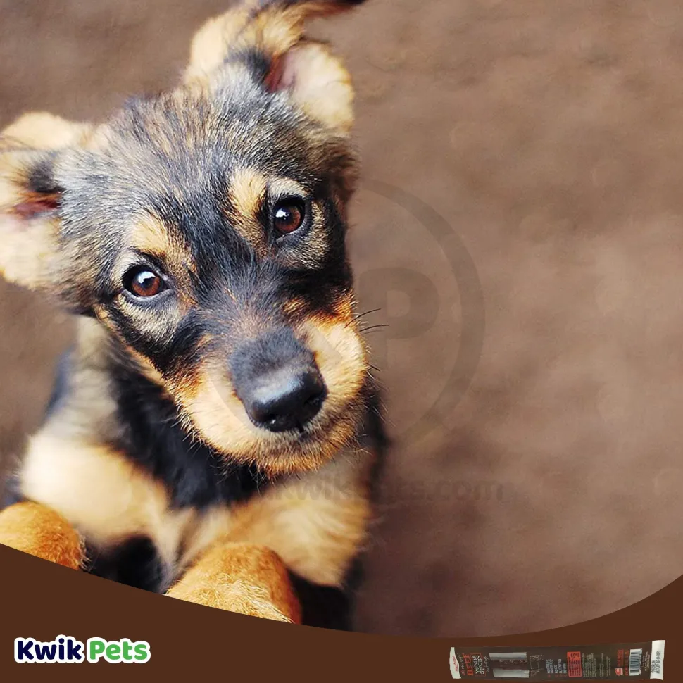 Etta Says! Yumm Sticks Beef Dog Treat