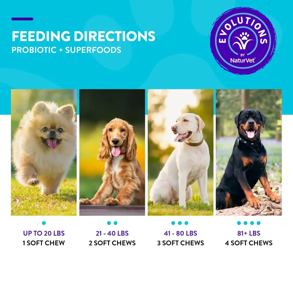 Evolutions by NaturVet Probiotic Plus Superfoods Digestive Support Soft Chews for Dogs 90 Count 6.9-oz