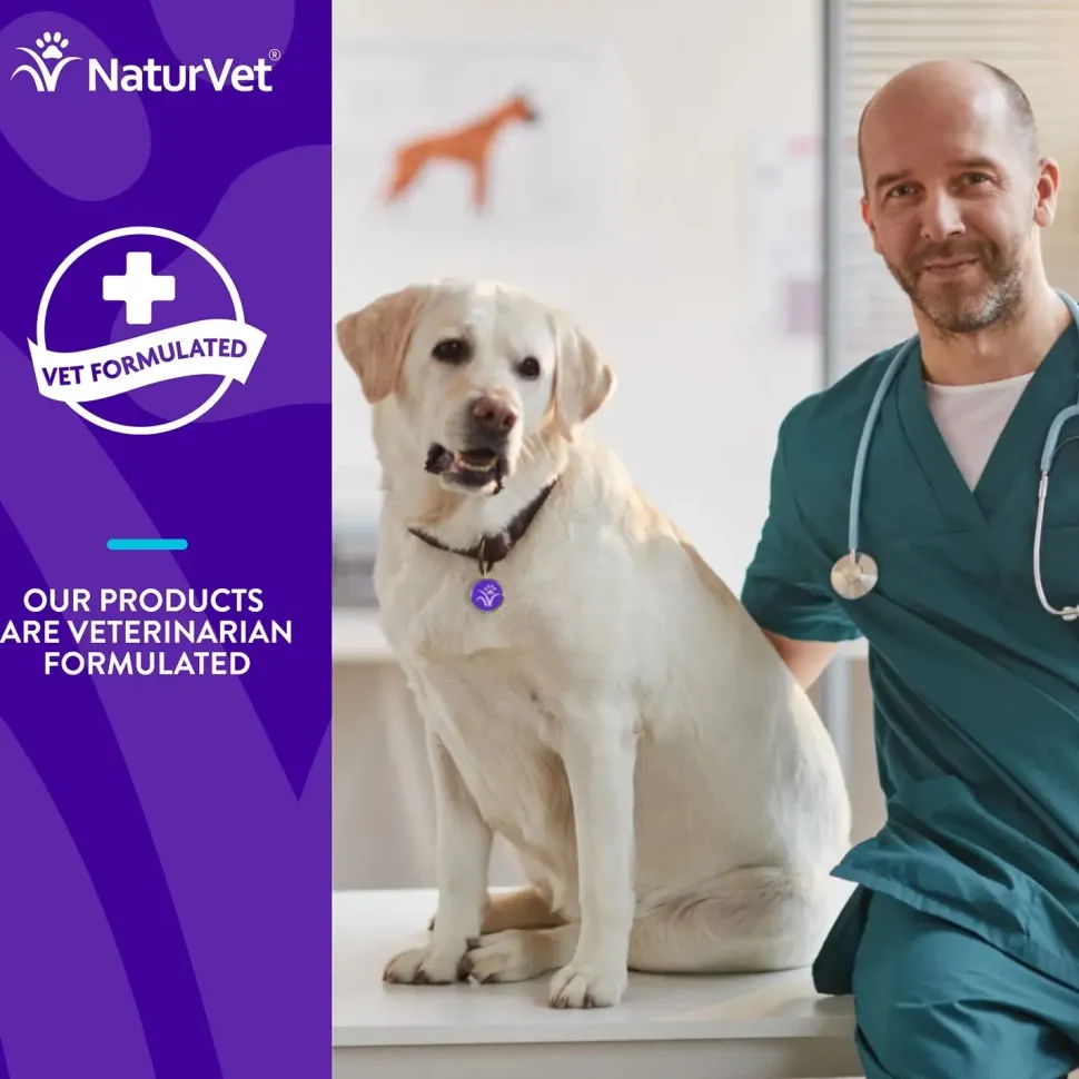 Evolutions by NaturVet Probiotic Plus Superfoods Digestive Support Soft Chews for Dogs 90 Count 6.9-oz