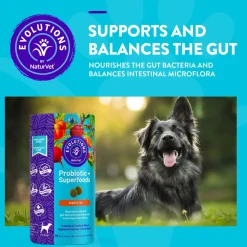 Evolutions by NaturVet Probiotic Plus Superfoods Digestive Support Soft Chews for Dogs 90 Count 6.9-oz
