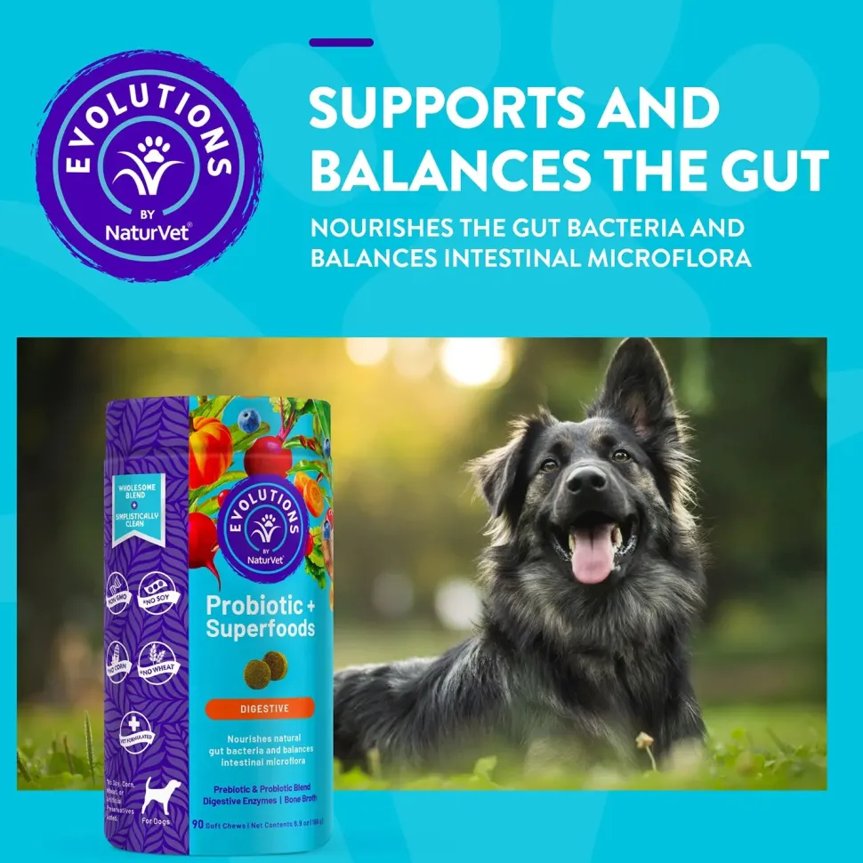 Evolutions by NaturVet Probiotic Plus Superfoods Digestive Support Soft Chews for Dogs 90 Count 6.9-oz