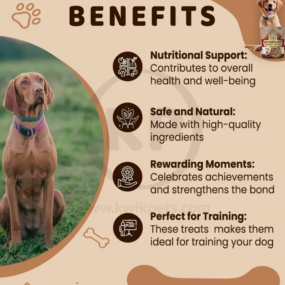 Exclusively Pet Best Buddy Bits Training Dog Treats Beef & Liver 5.5-oz
