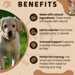 Exclusively Pet Best Buddy Bits Training Dog Treats Cheese 5.5-oz