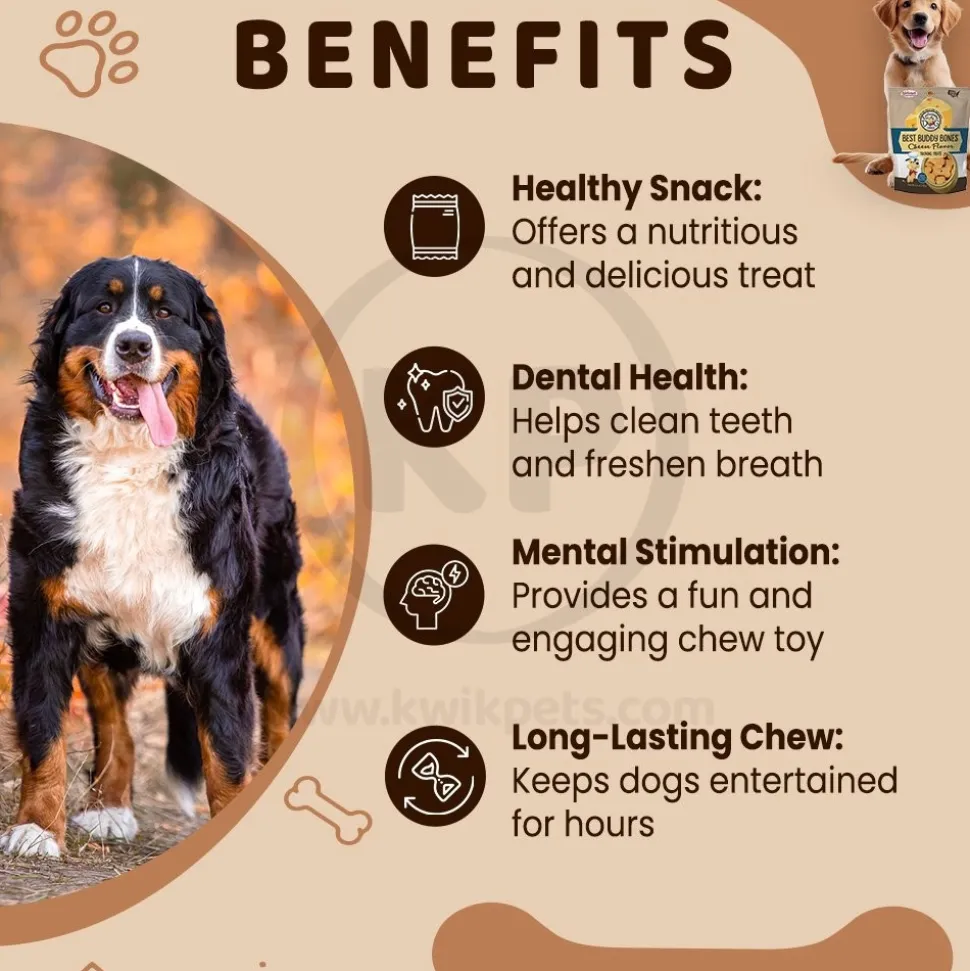 Exclusively Pet Best Buddy Bones Training Dog Treats Cheese 5.5 oz
