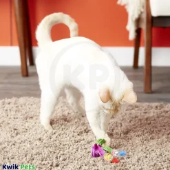 Fat Cat Classic Springy Worms Catnip Toy Assorted 2 Count