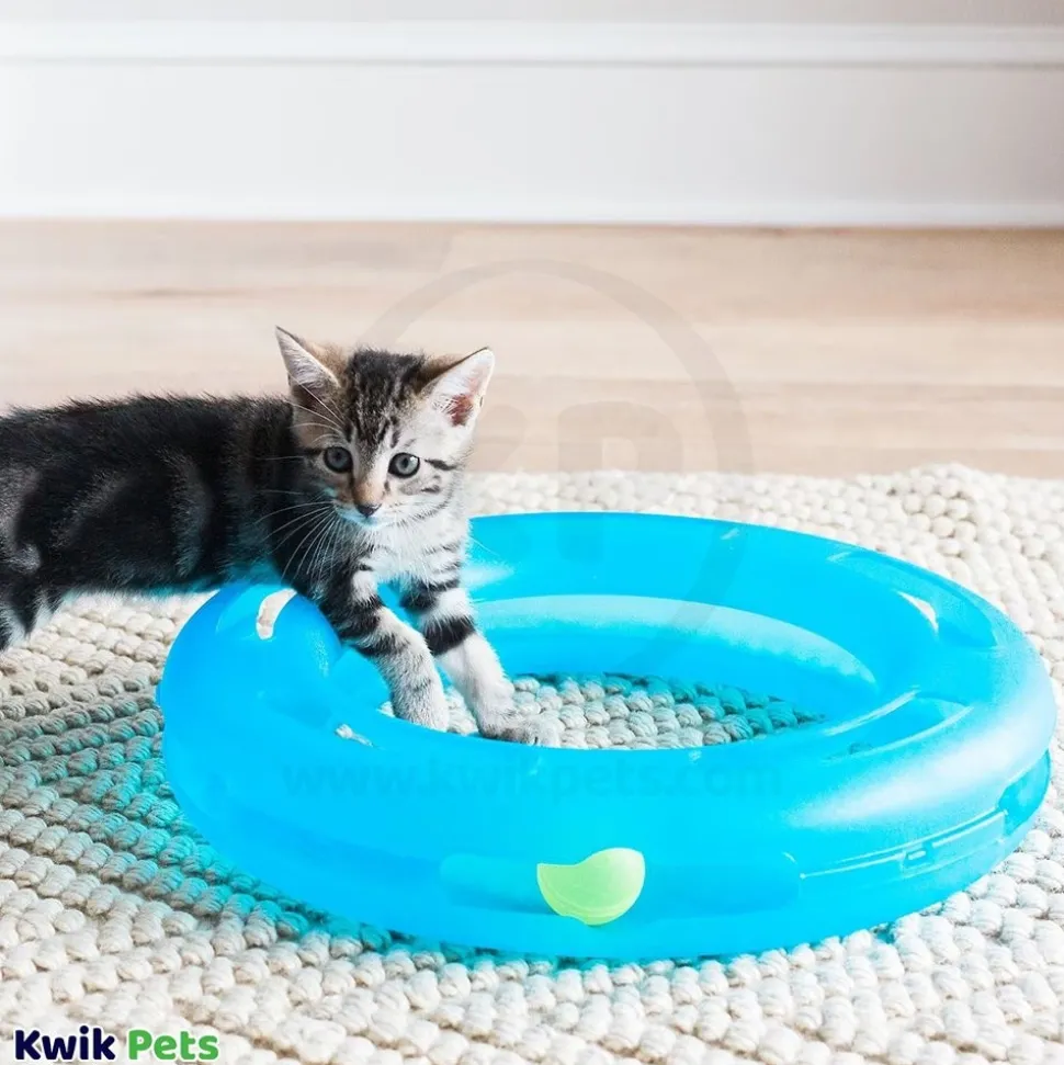 Fat Cat Crazy Circle Catnip Toy Blue Small