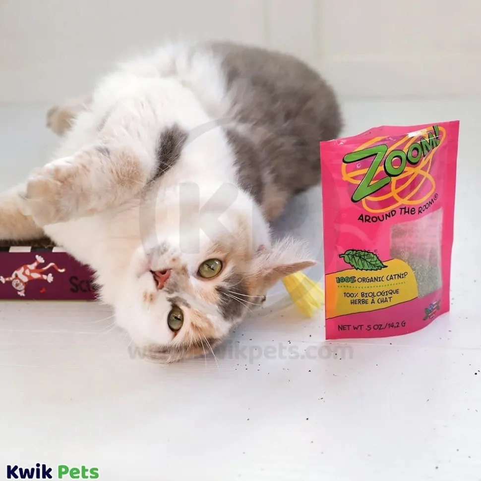 Fat Cat Zoom Around The Room High-Test Organic Catnip 0.5-oz