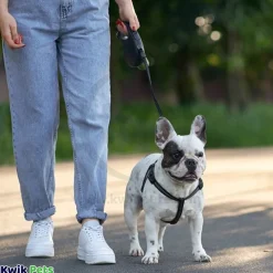 Flexi Classic Nylon Cord Dog Leash Black Large 16-ft Up To 132-lb