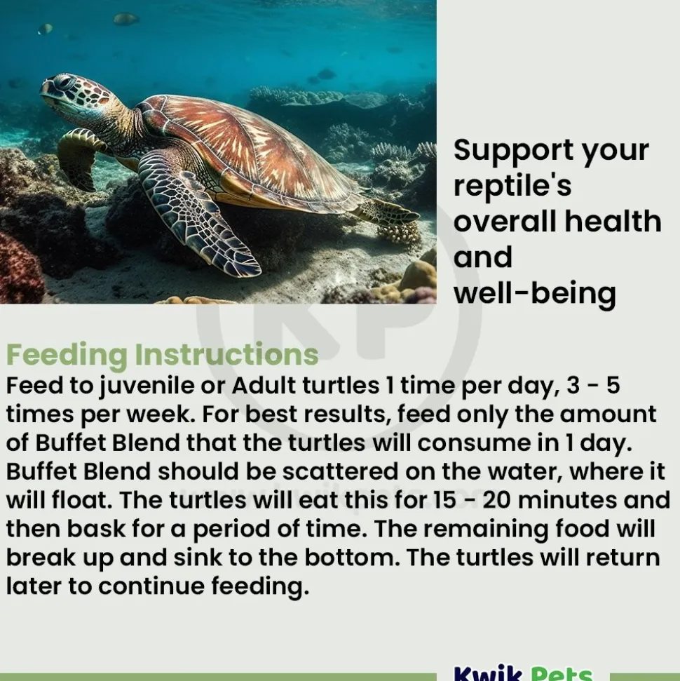 Fluker's Aquatic Turtle Formula Turtle Diet Dry Food 8-oz