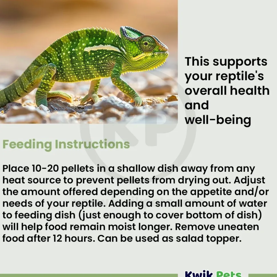 Fluker's Crafted Cuisine Adult Bearded Dragon Diet Dry Food 6.75-oz